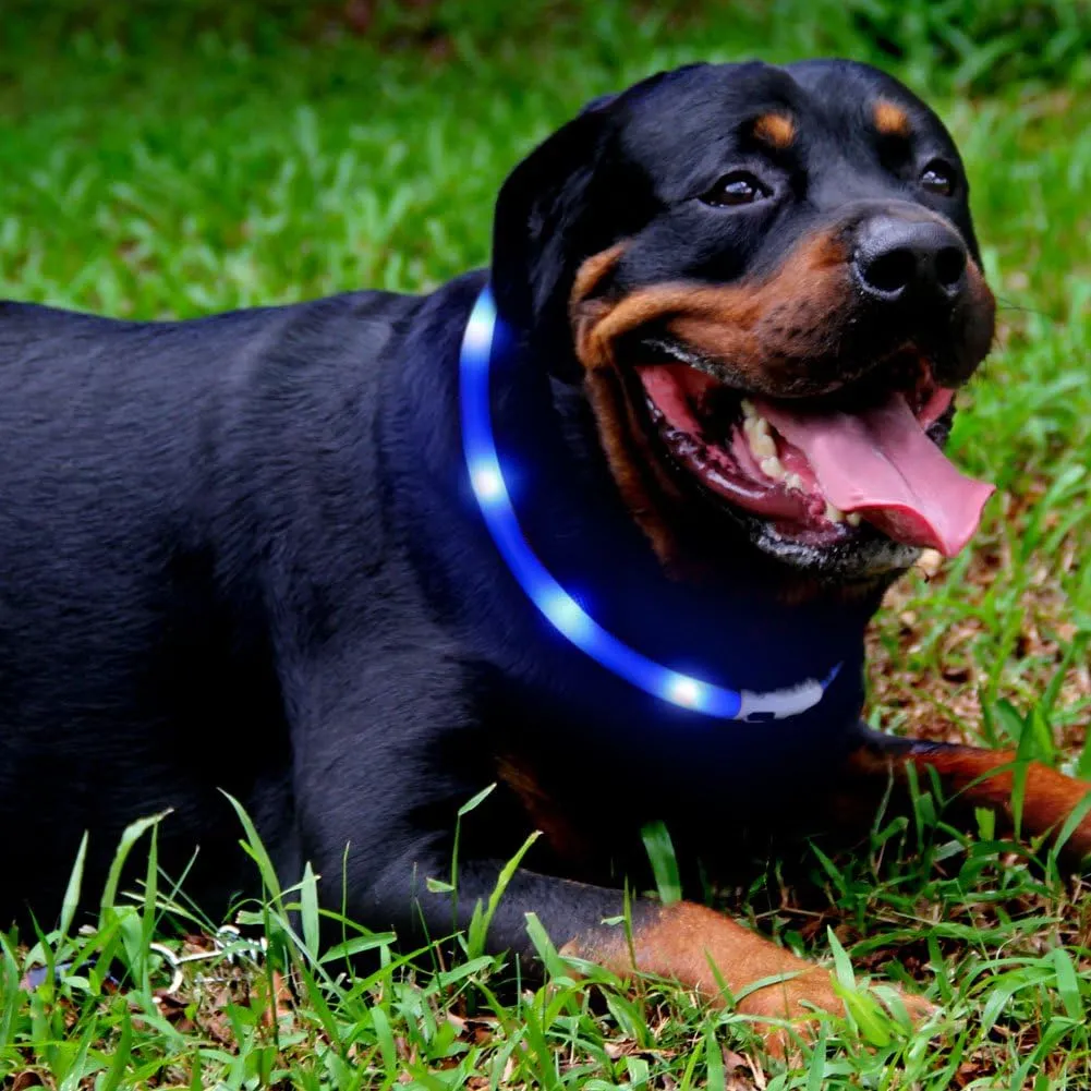 2 Pack Light Up Dog Collar for Night Walking, Rechargeable Glowing Dog Collars with 1640 Feet of Visibility - Brightest LED Dog Collar Light, 3 Flashing Modes, Keeps Your Pets Safe in The Dark