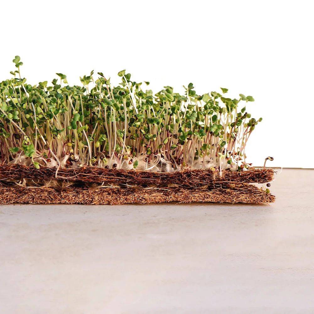 4 x 8 Ft. Coco Coir Grow Mat and Coco Liner Roll