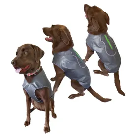 Allagash Dog Jacket