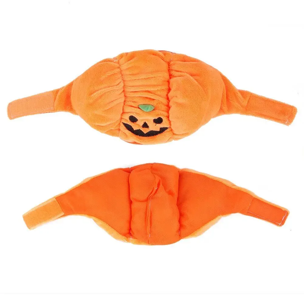 Anniepaw Pumpkin Halloween Pet Hat: Funny Cat & Dog Cosplay Cap for Festive Decoration