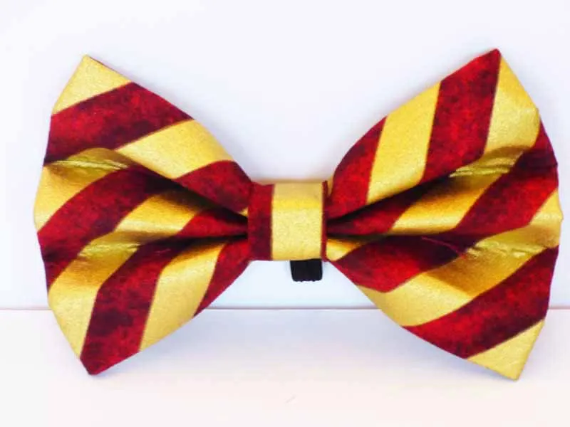 Cat & Kitten Range "Wizardry" by Mabel & Mu