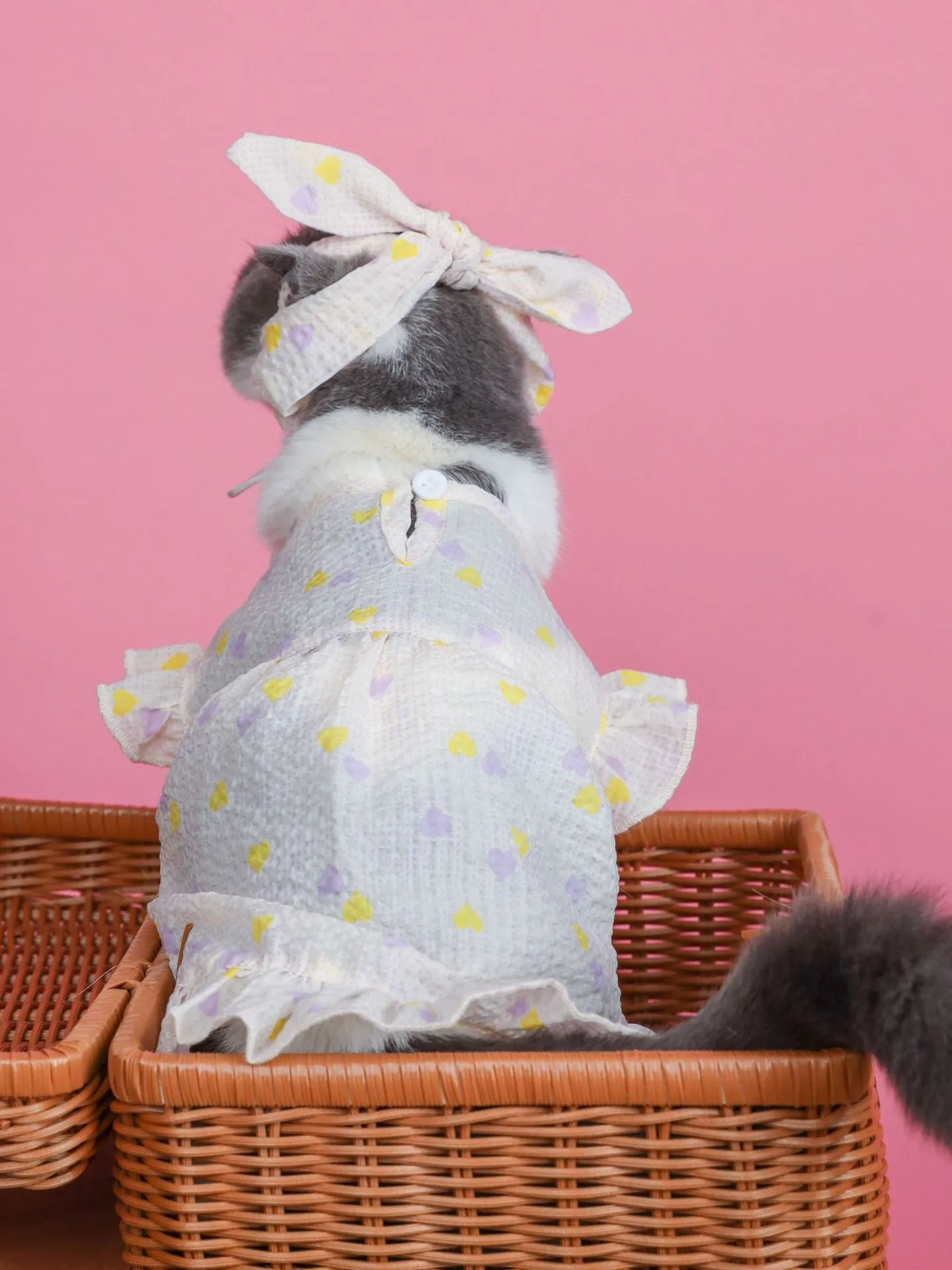 Cat Clothes Summer Light, Thin and Cute Breathable Dress Pet Clothing