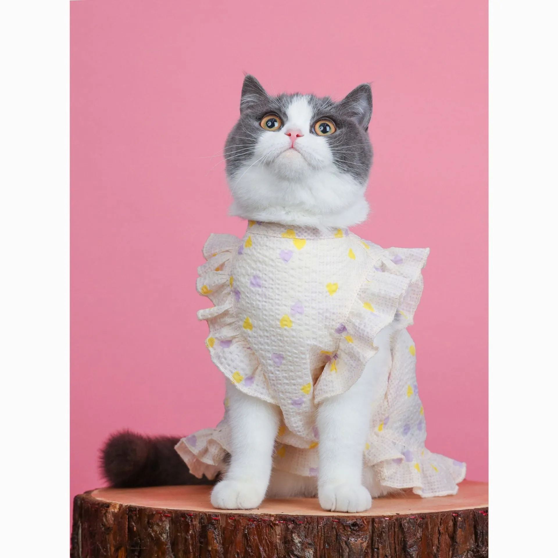 Cat Clothes Summer Light, Thin and Cute Breathable Dress Pet Clothing