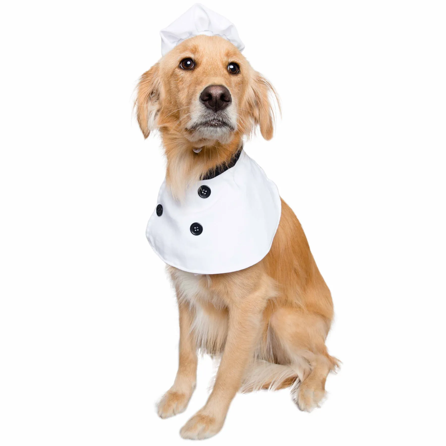 Chef Uniform Dog Costume