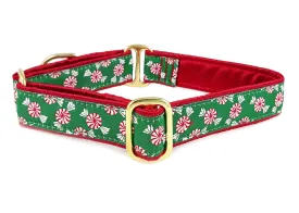 Christmas Peppermints - Martingale or Buckle Dog Collar - 1" Width