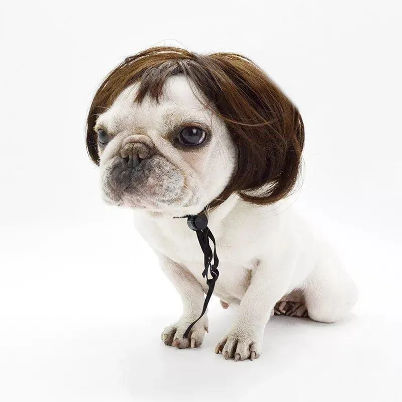 Cute Lion Wig for Cat and Small dogs