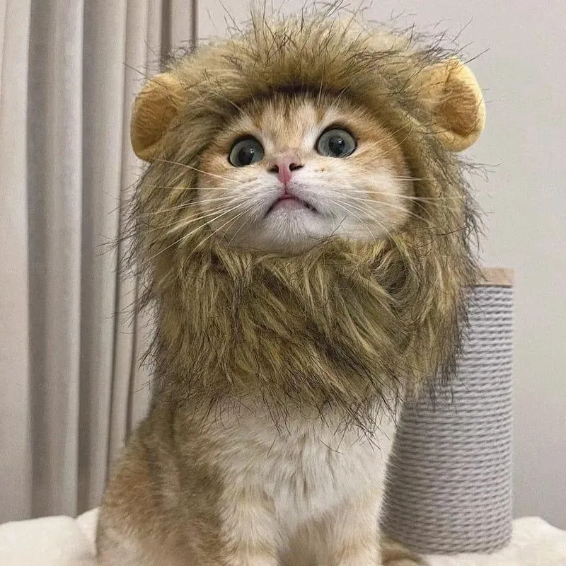 Cute Lion Wig for Cat and Small dogs