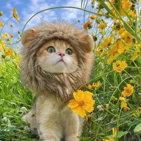 Cute Lion Wig for Cat and Small dogs