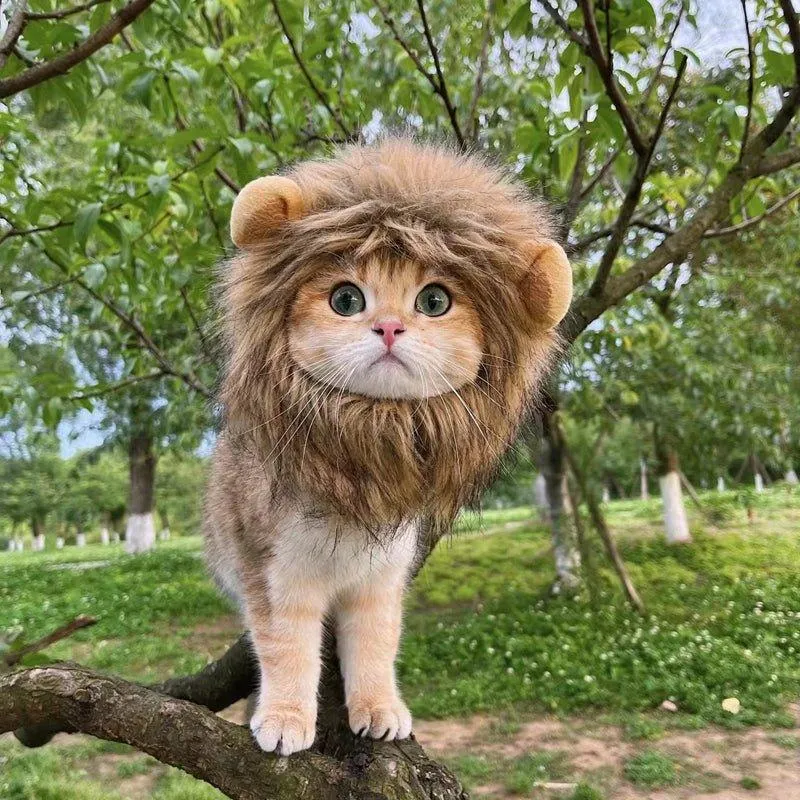 Cute Lion Wig for Cat and Small dogs