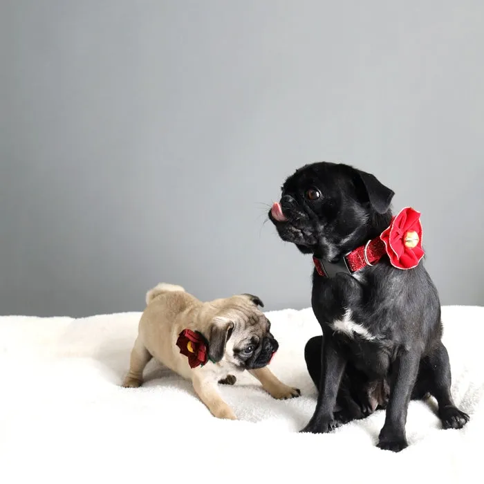 Dog Collar Flower - Red Velvet by Mimi Green FINAL SALE