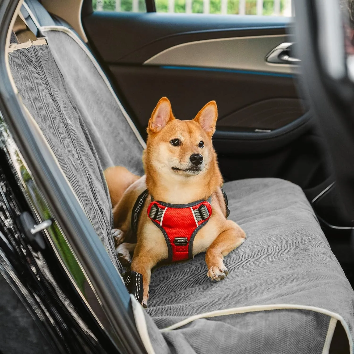 FUNNY FUZZY Dog Car Seat Cover for Back Seat, Waterproof, Scratchproof Car Seat Protector for Dogs Nonslip, Dog Back Seat Covers for Cars, Trucks and SUVs, Back Seat(18.1''W x 53''L22" H)