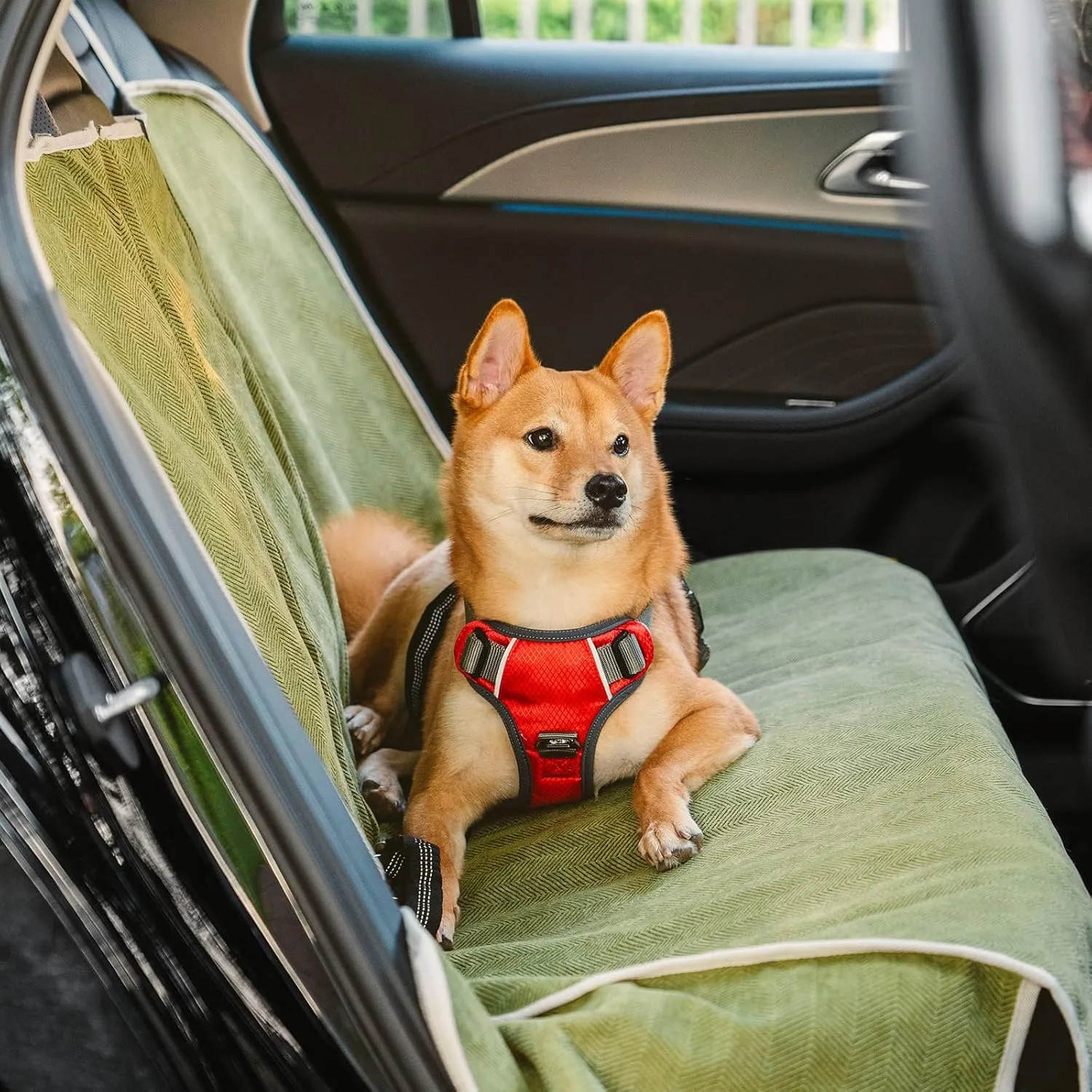 FUNNY FUZZY Dog Car Seat Cover for Back Seat, Waterproof, Scratchproof Car Seat Protector for Dogs Nonslip, Dog Back Seat Covers for Cars, Trucks and SUVs, Back Seat(18.1''W x 53''L22" H)