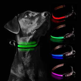 Glow Fetch It! HD Ultra Bright LED Safety Dog Collar, Adjustable, USB Rechargeable with 3 Modes, Water Resistant, Extremely Durable and Easy to Clean (Green, Large)