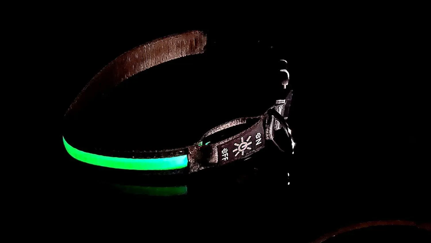 Glow Fetch It! HD Ultra Bright LED Safety Dog Collar, Adjustable, USB Rechargeable with 3 Modes, Water Resistant, Extremely Durable and Easy to Clean (Green, Large)