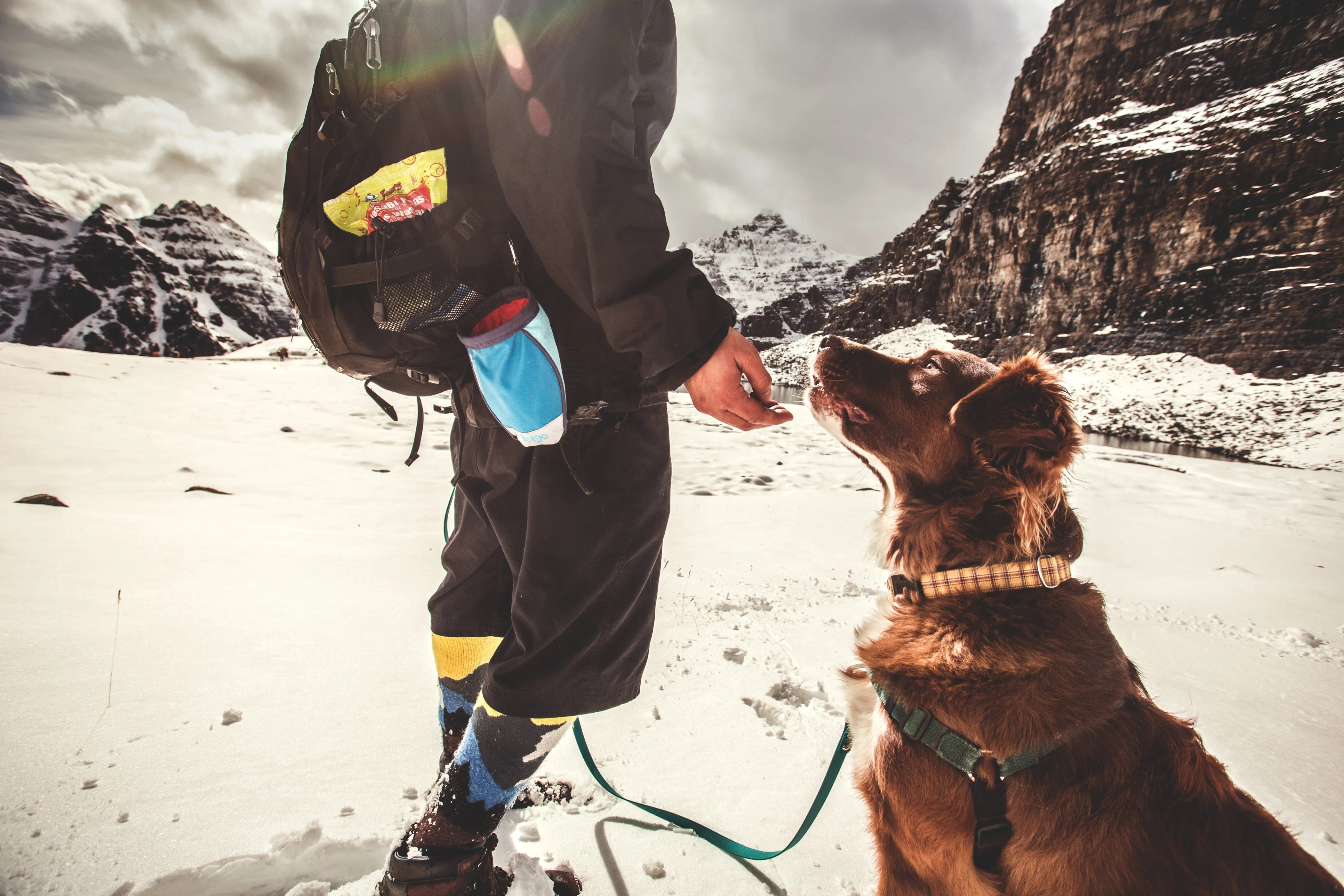 Go Stuff It Dog Treat Bag