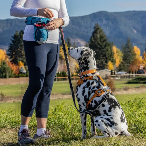 Go Stuff It Dog Treat Bag