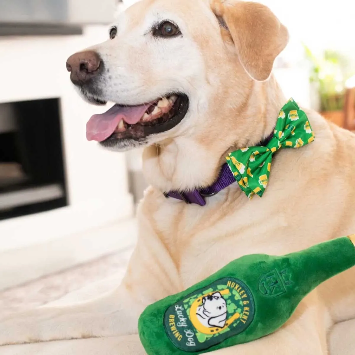 Irish Suds Collar Bow Tie