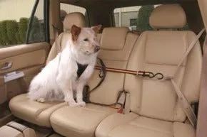Kurgo Auto Zip Line for Dogs