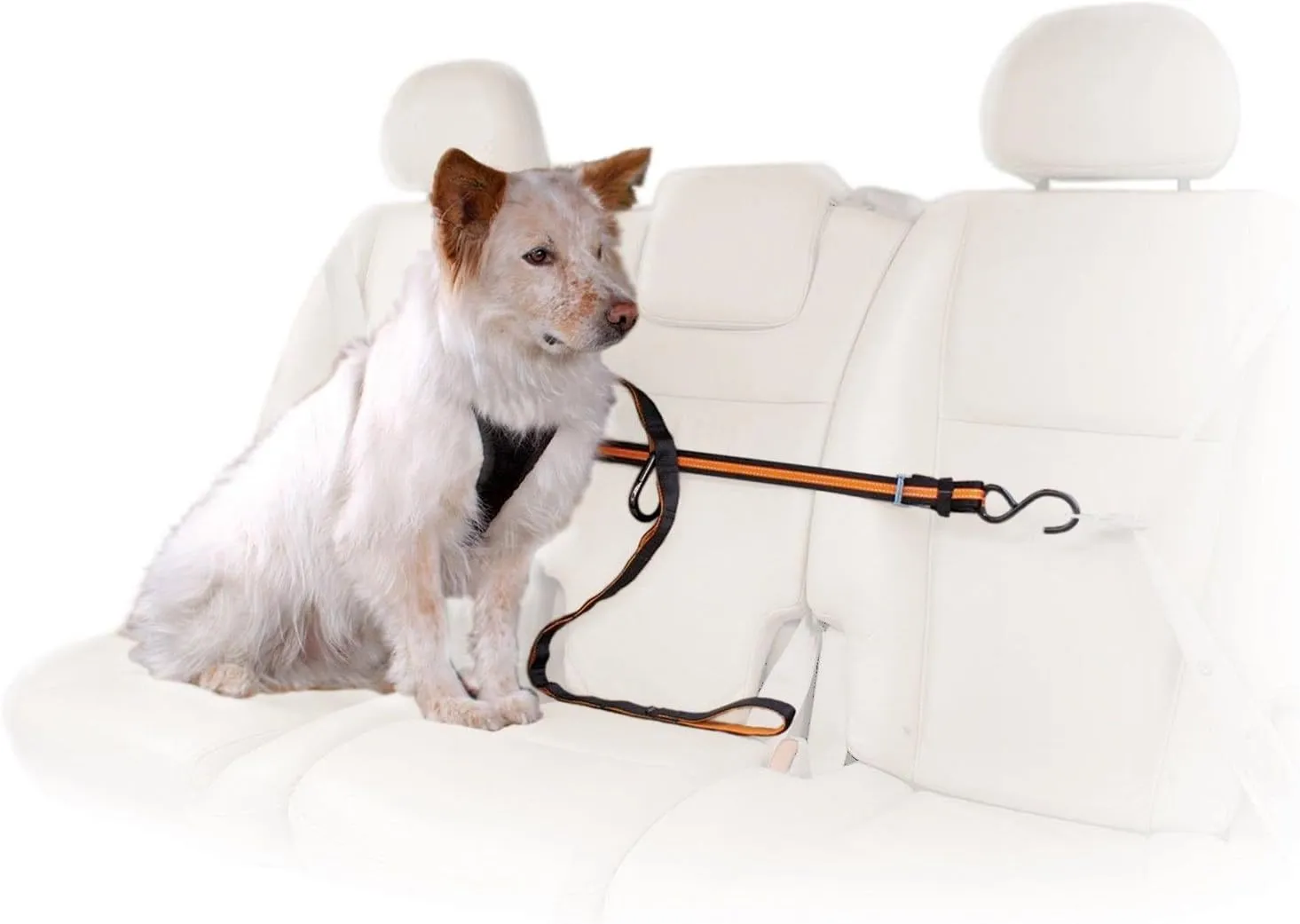 Kurgo Auto Zipline for Dogs, Adjustable Dog Safety Belt Leash, Pet Seat Belt Tether, Reduce Distracted Driving, Includes Dog Leash & Carabiner Clips, 6 feet