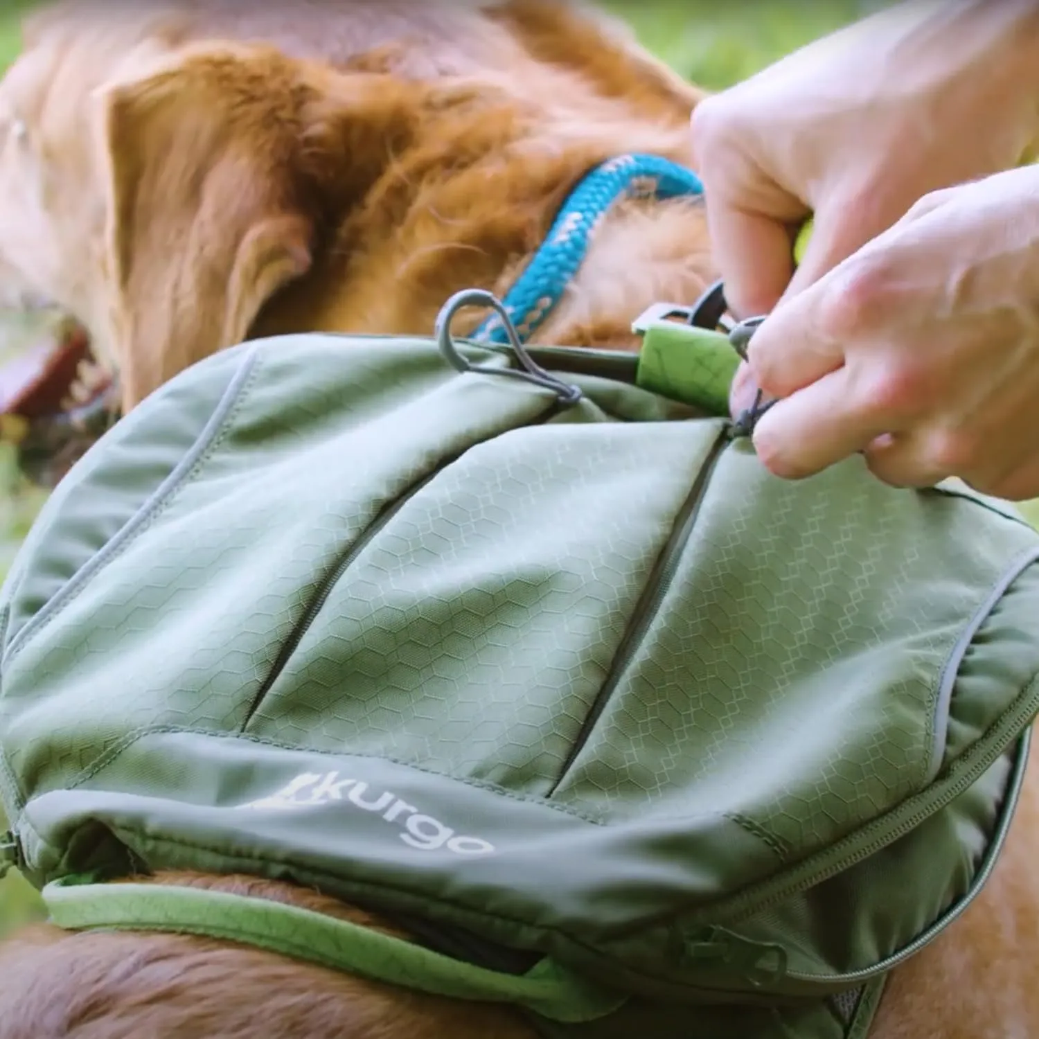 Kurgo Cascade Harness, Hiking Backpack for Dogs, Pet Harness with Backpack for Camping with a Dog (Green, Extra Large)