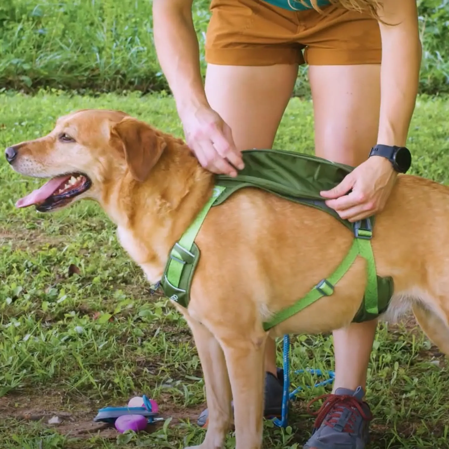 Kurgo Cascade Harness, Hiking Backpack for Dogs, Pet Harness with Backpack for Camping with a Dog (Green, Extra Large)
