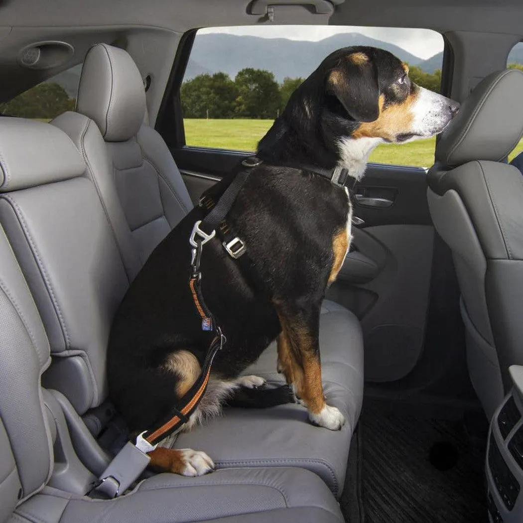Kurgo Direct To Seatbelt Swivel Tether