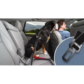 Kurgo Leash To Seatbelt Buckle