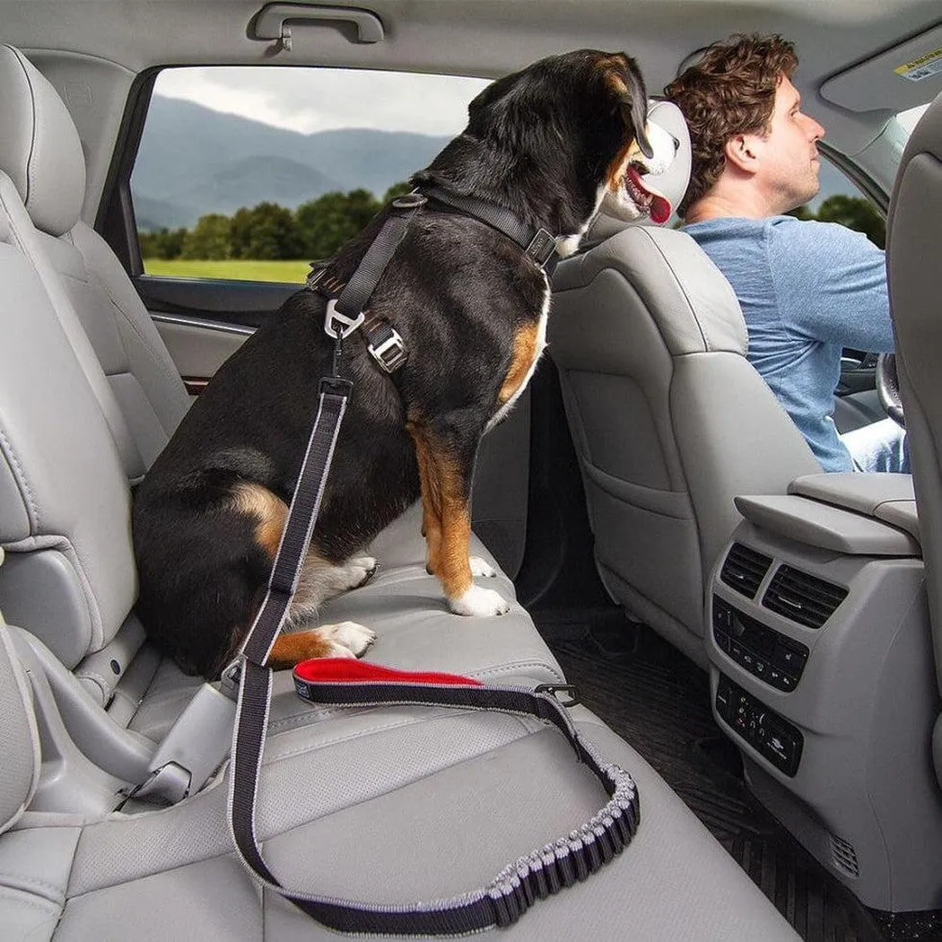 Kurgo Leash To Seatbelt Buckle