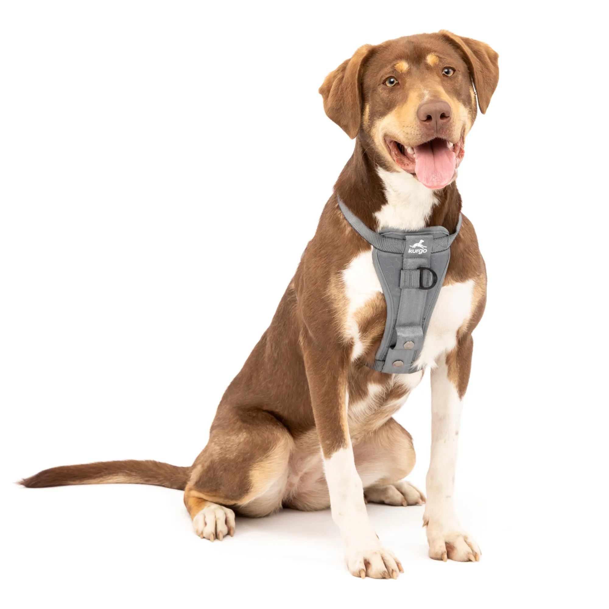 Kurgo Tru-Fit Enhanced Strength Crash Tested Smart Harness