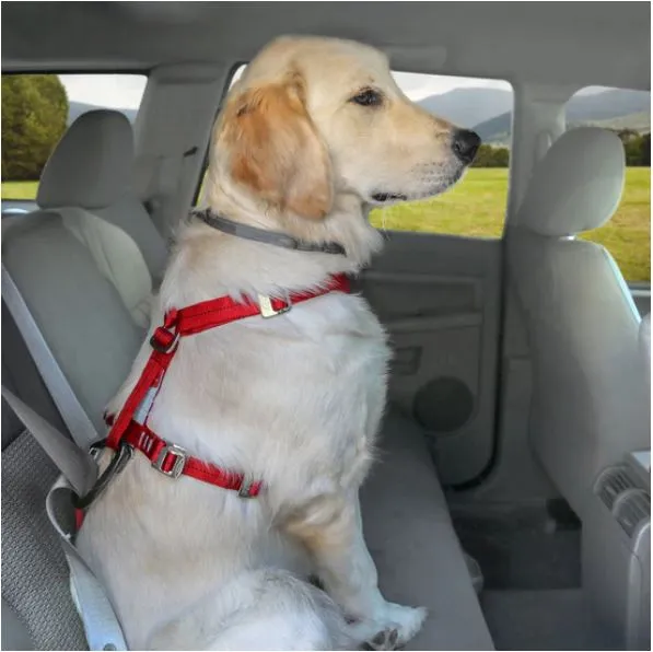 Kurgo Tru-Fit Enhanced Strength Crash Tested Smart Harness