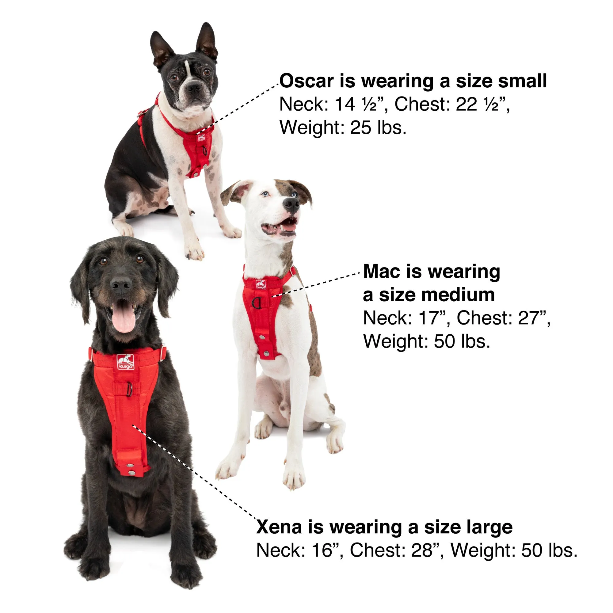 Kurgo Tru-Fit Enhanced Strength Crash Tested Smart Harness