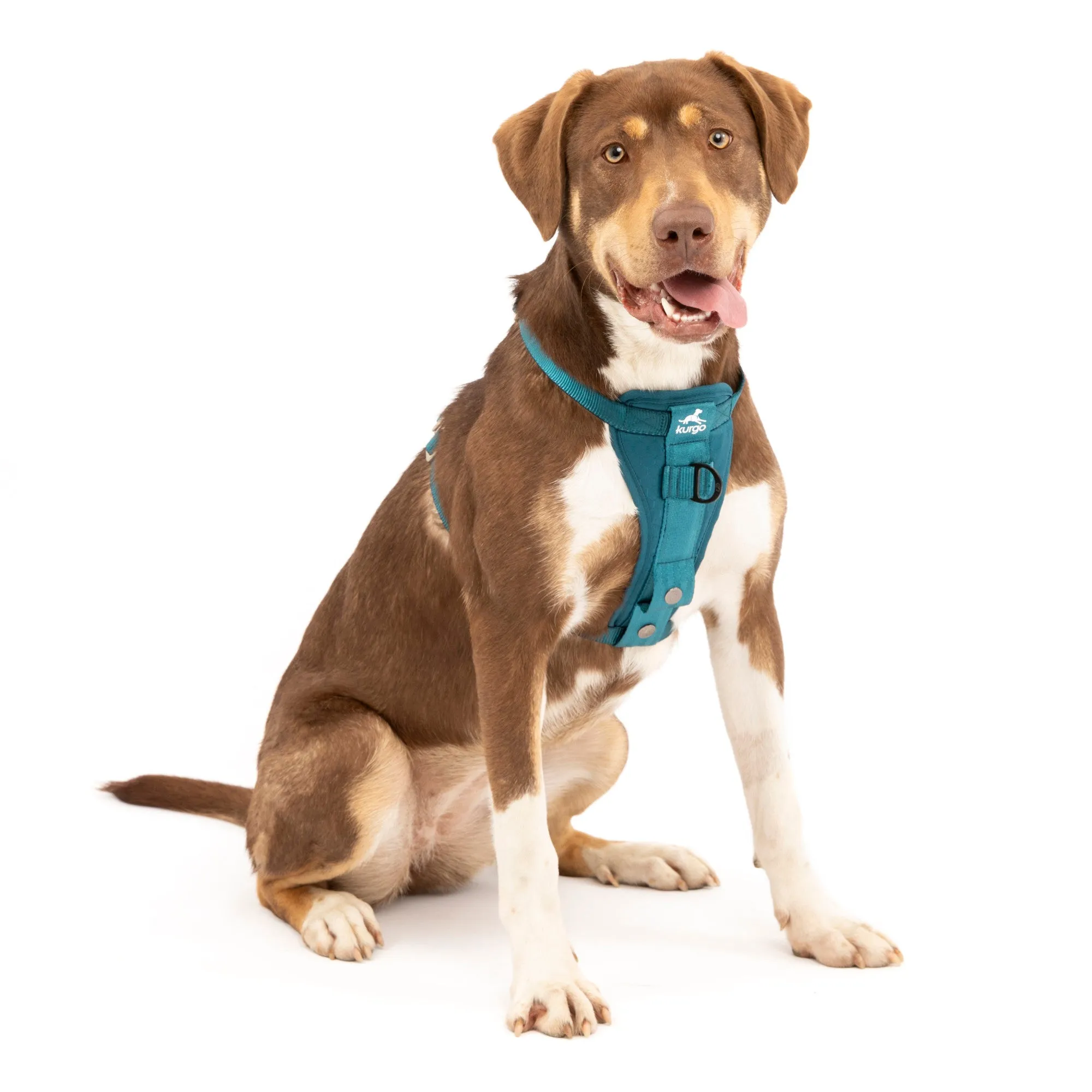 Kurgo Tru-Fit Enhanced Strength Crash Tested Smart Harness