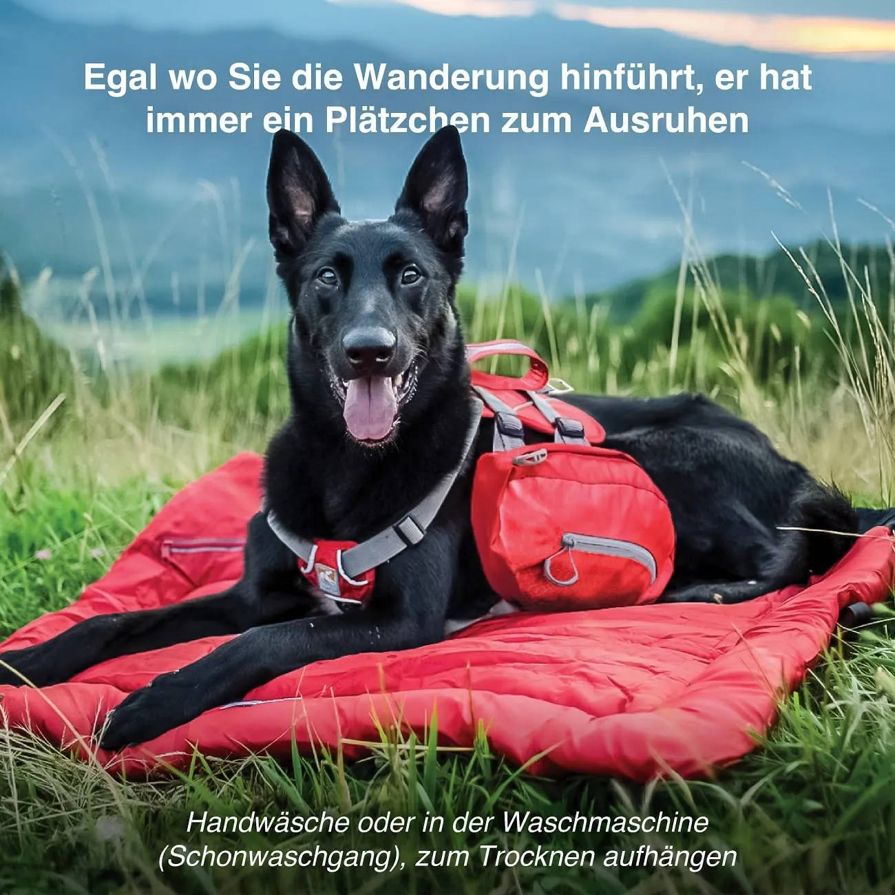 Kurgo Waterproof Dog Bed, Outdoor Bed for Dogs, Portable Bed Roll for Pets, Travel, Hiking, Camping, Wander Loft Dog Bed, Chili Red, Medium
