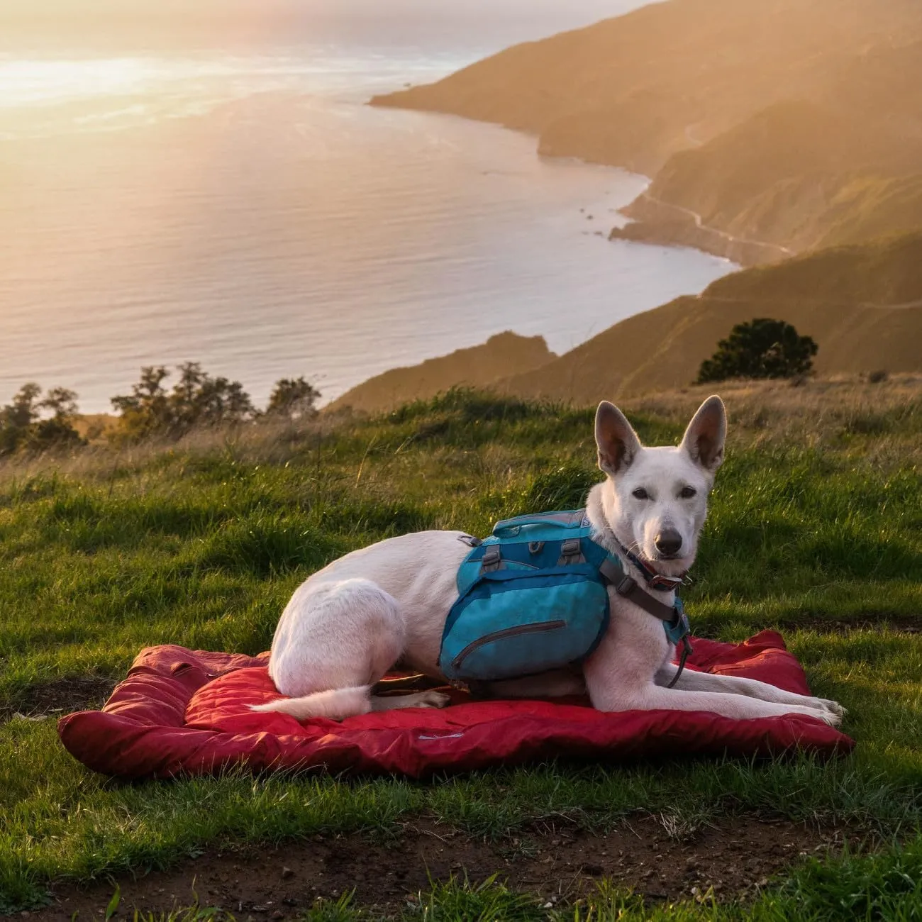 Kurgo Waterproof Dog Bed, Outdoor Bed for Dogs, Portable Bed Roll for Pets, Travel, Hiking, Camping, Wander Loft Dog Bed, Chili Red, Medium