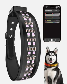 LED Dog Collar, APP Control Glowing Dog Necklace, Full Color Gamut Option 25 Light Mode, D Ring, 2600FT Visible Pet Safety Rechargeable Flash Light Up Collars for Small Medium Large Dogs