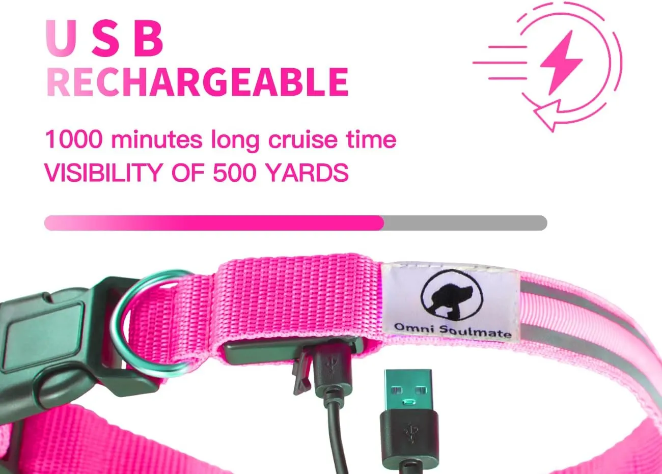 LED Dog Collar - Light Up Collars for Night, Personalized, Small & Large Dogs