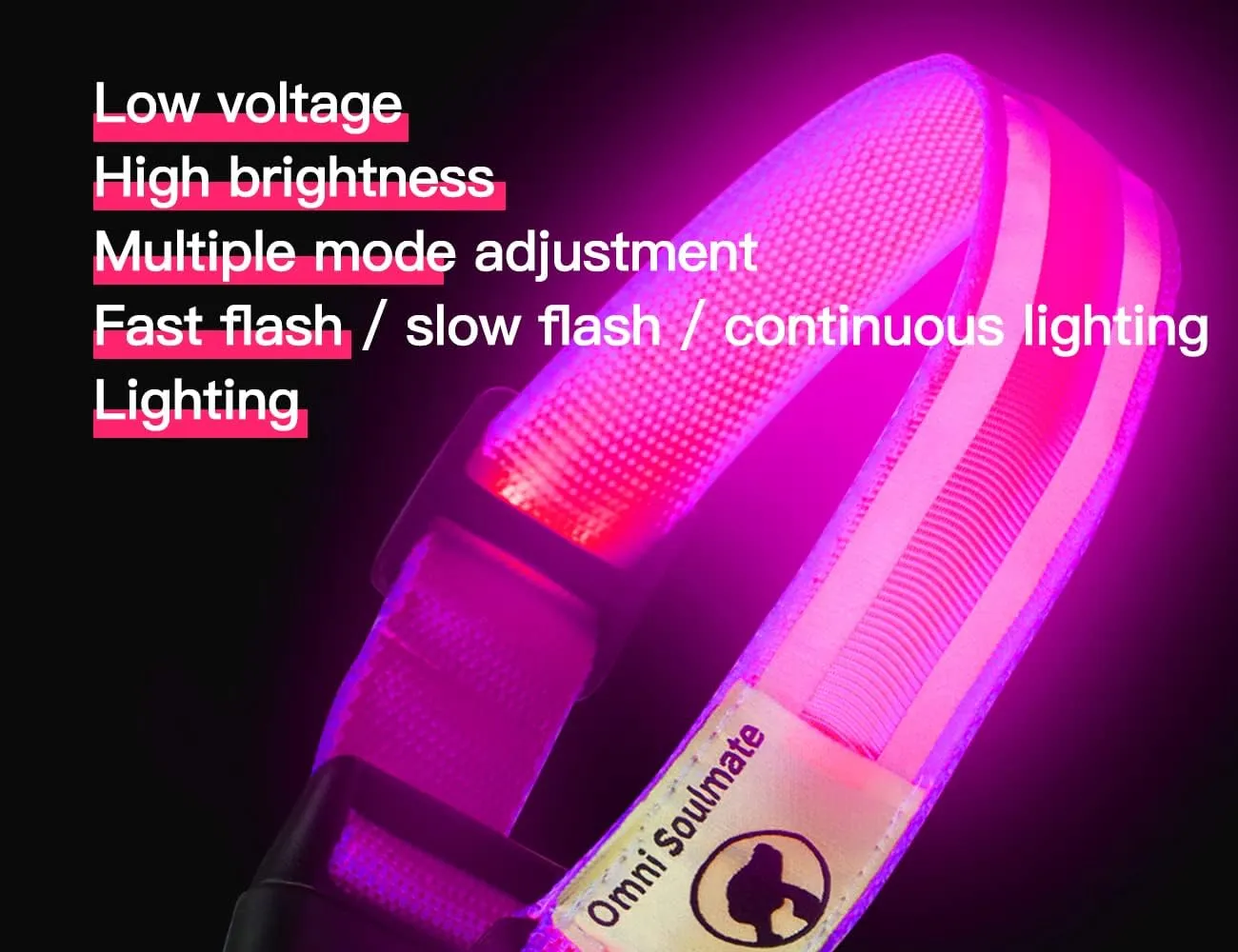 LED Dog Collar - Light Up Collars for Night, Personalized, Small & Large Dogs