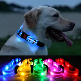 LED Dog Collars - USB Rechargeable, Waterproof, Flashing Glow in Dark, Adjustable Light Up Collars for Night Walking (Blue, Pack of 1)