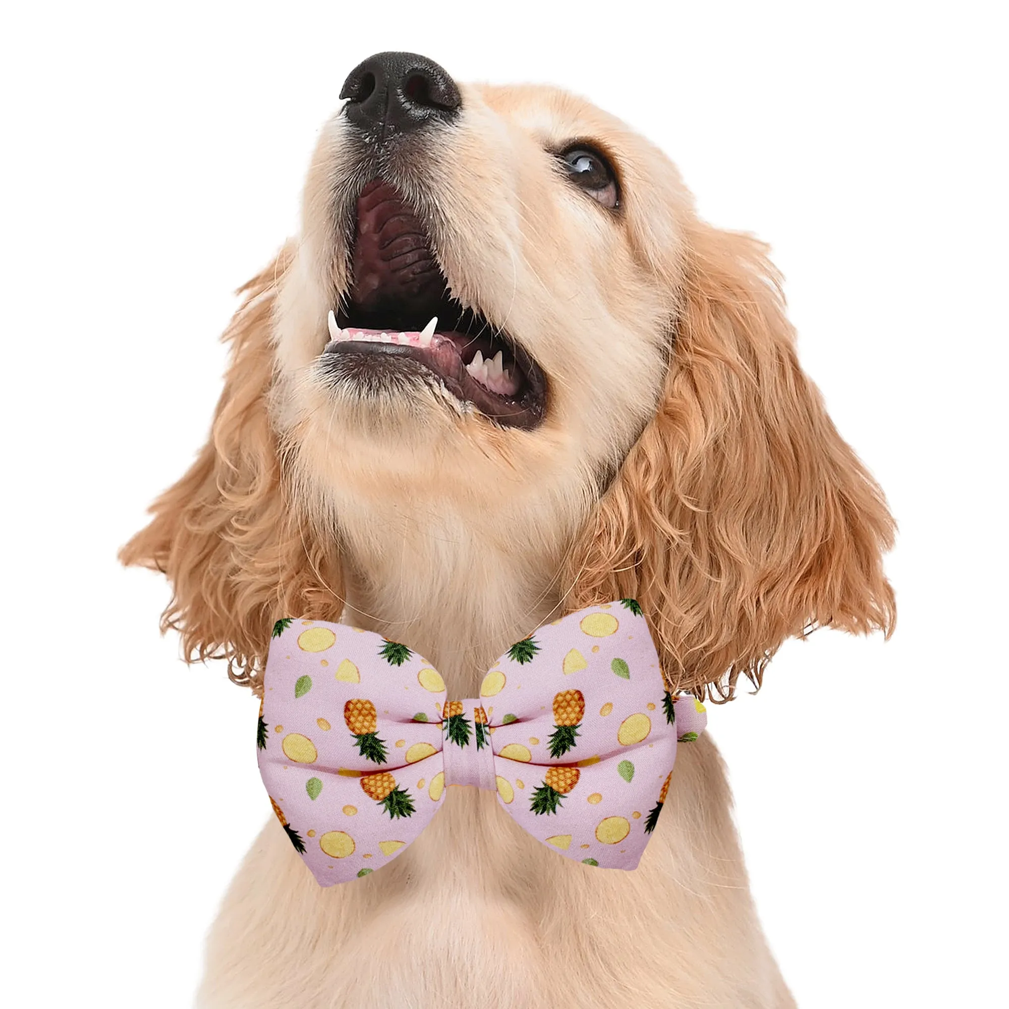 Matching Pineapple Pop Dog Shirt & Dog Bow Tie  | Adjustable Bow Tie for Dogs | Breathable Fabric Shirt for Dogs