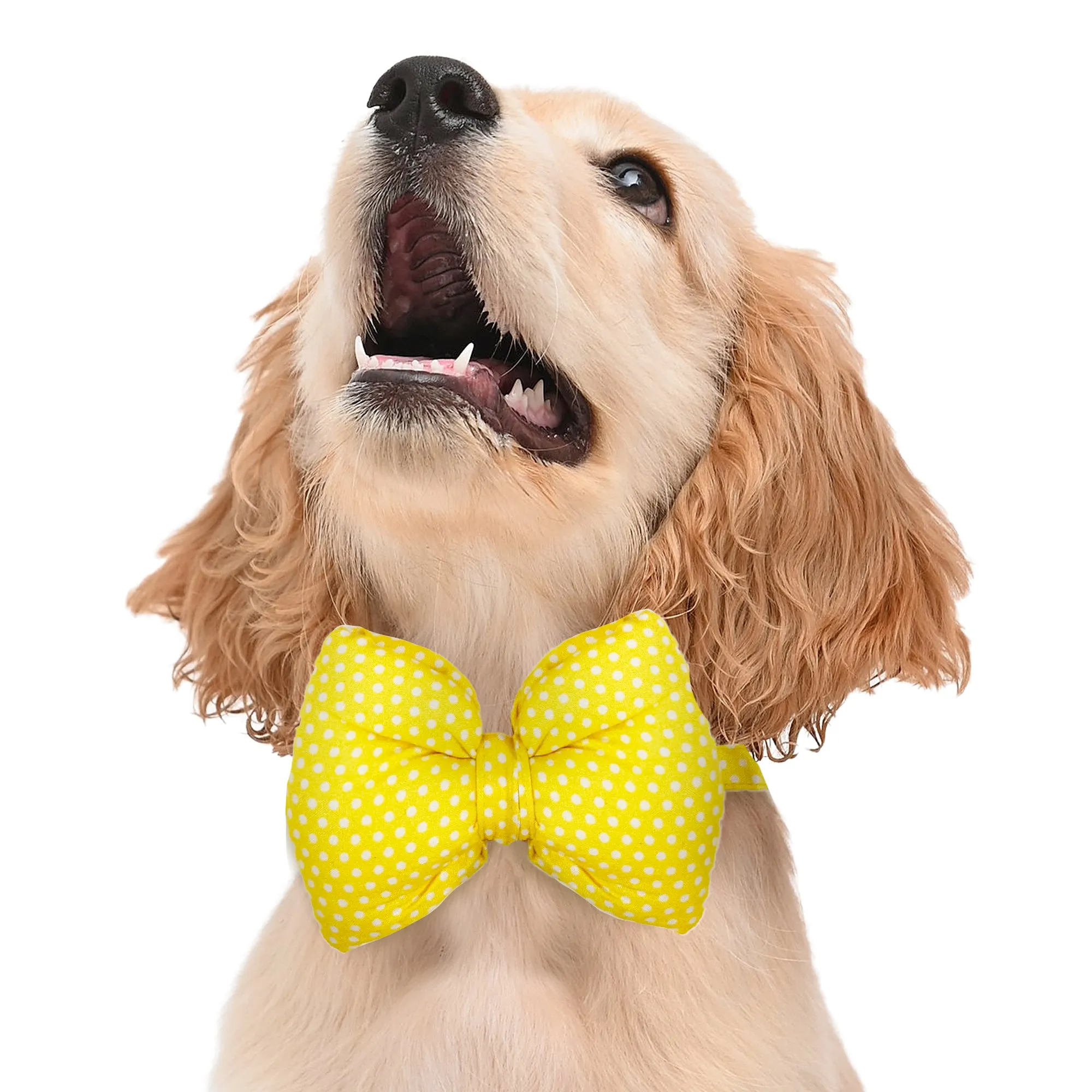 Matching Yellow Dog Shirt & Dog Bow Tie  | Adjustable Bow Tie for Dogs | Breathable Fabric Shirt for Dogs
