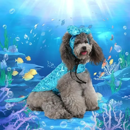Mermaid Costume