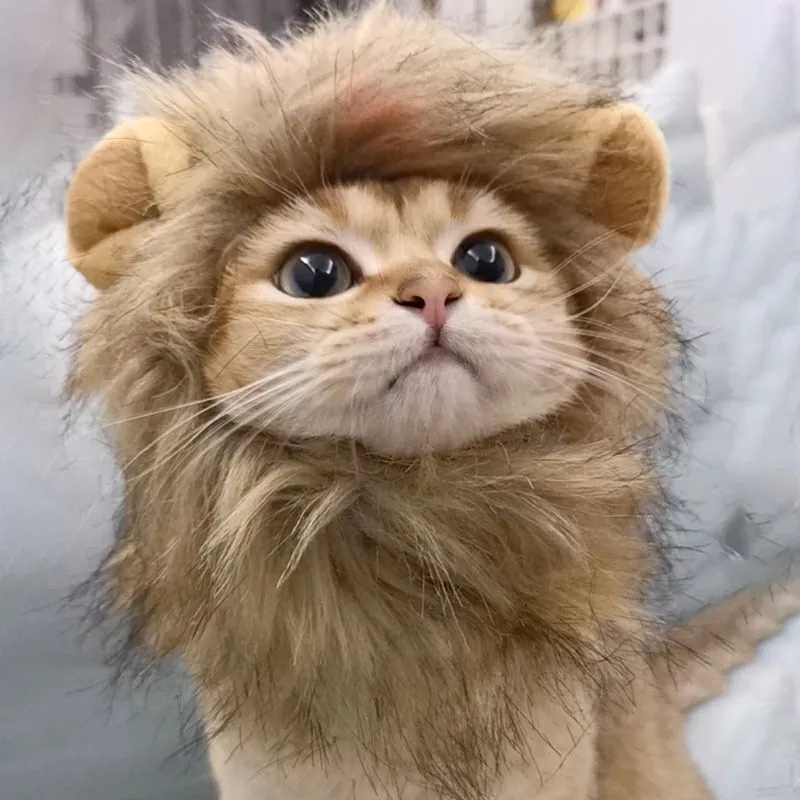 Pat and Pet Emporium | Pet Costumes | Lion Mane Cat Costume