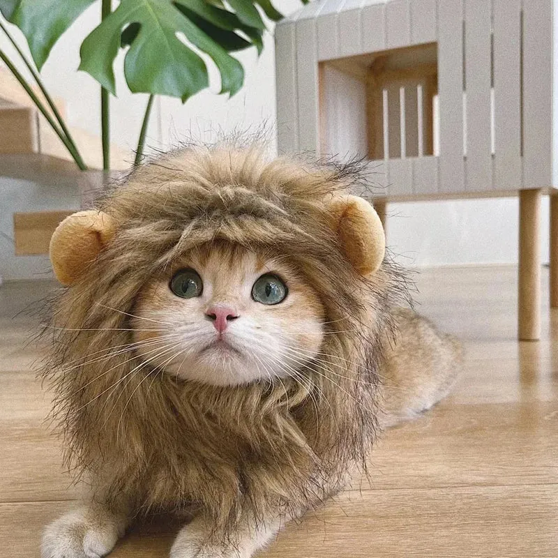 Pat and Pet Emporium | Pet Costumes | Lion Mane Cat Costume