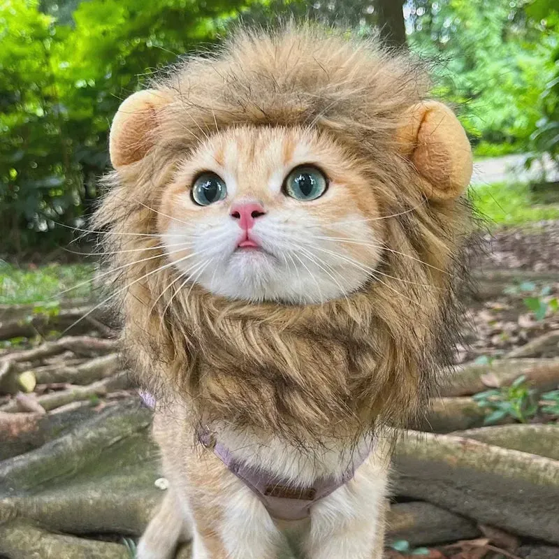Pat and Pet Emporium | Pet Costumes | Lion Mane Cat Costume