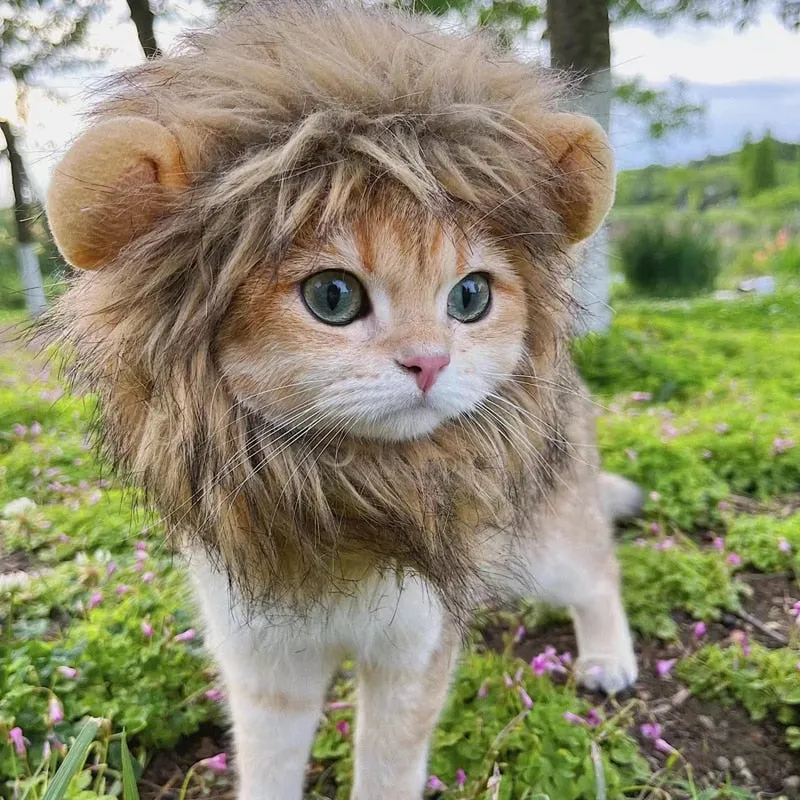 Pat and Pet Emporium | Pet Costumes | Lion Mane Cat Costume