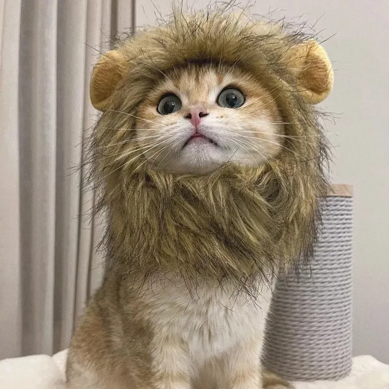 Pat and Pet Emporium | Pet Costumes | Lion Mane Cat Costume