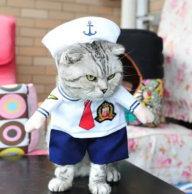 Pet Costumes