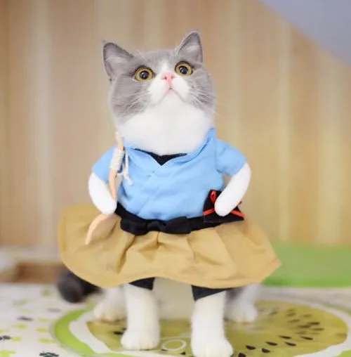 Pet Costumes