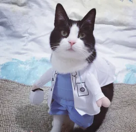 Pet Costumes