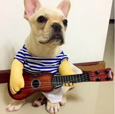 Pet Costumes